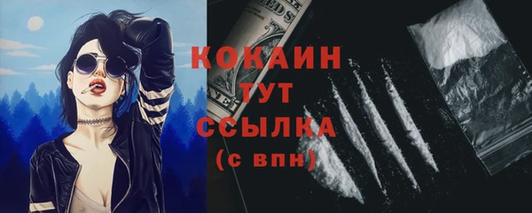 меф Вяземский