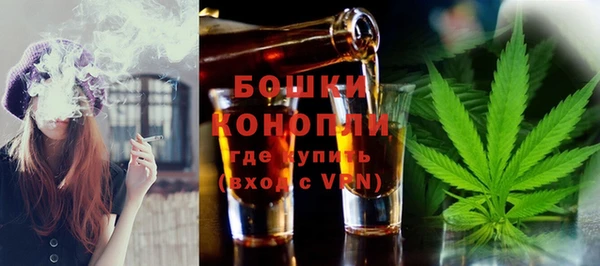 гашик Гусев