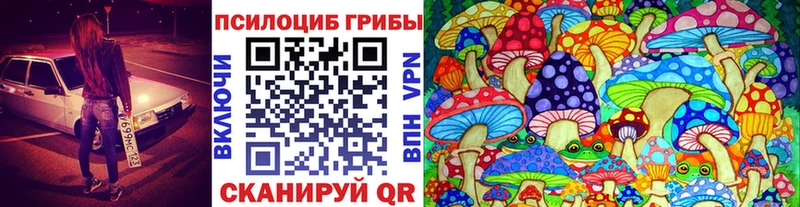 Галлюциногенные грибы Psilocybine cubensis Дятьково